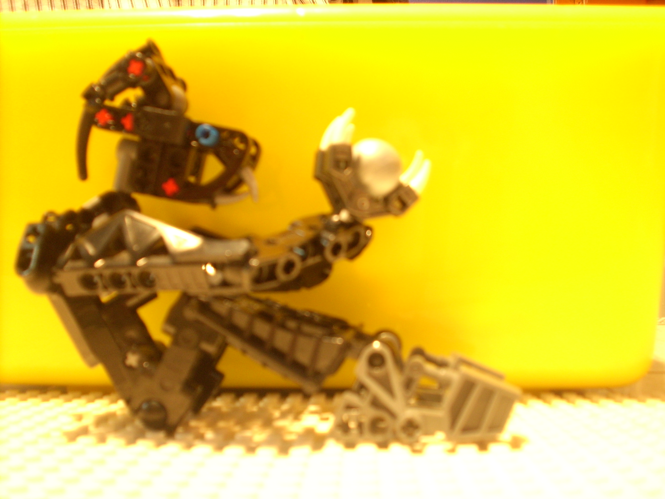 dsci0006.jpg