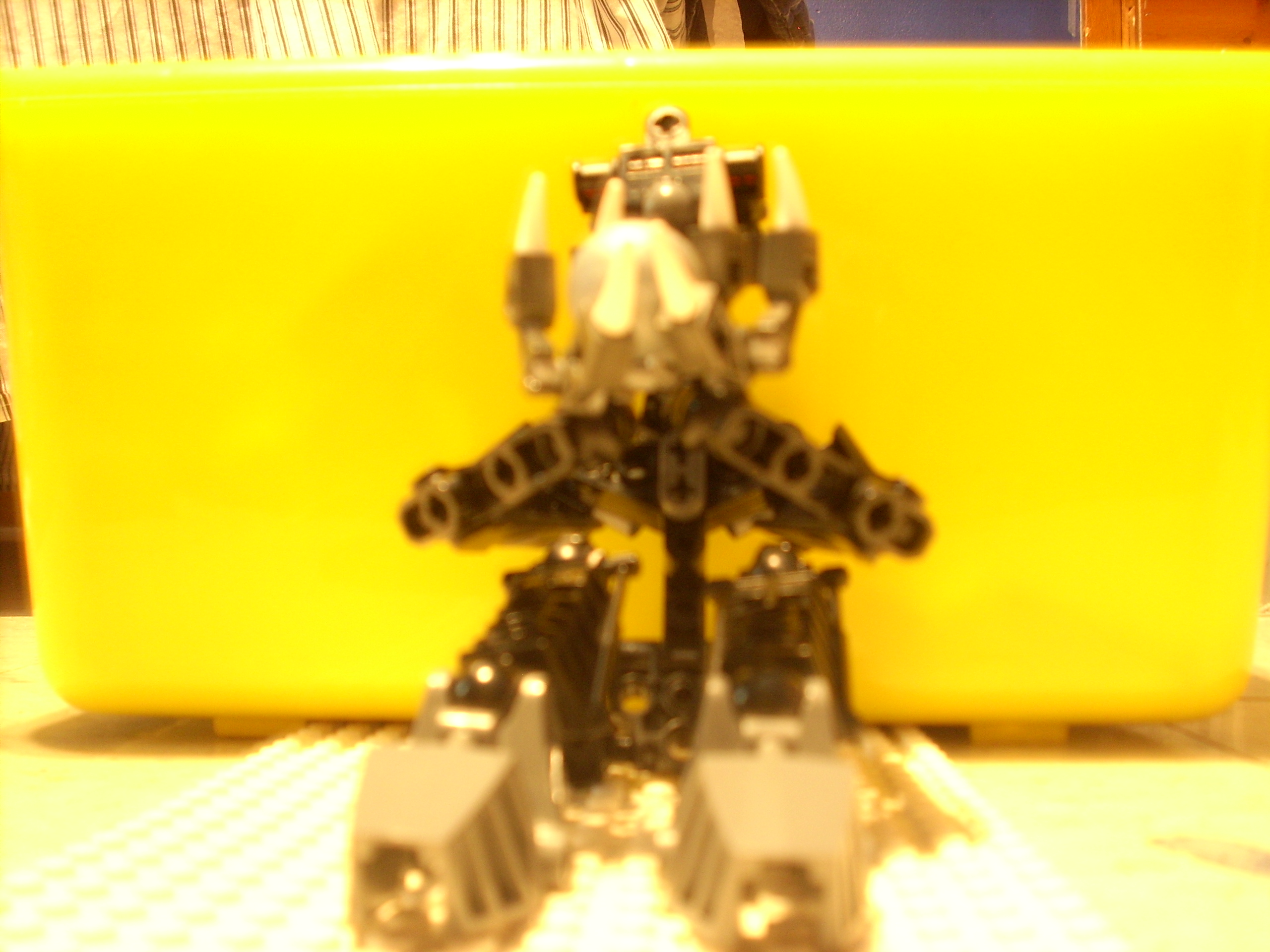 dsci0007.jpg