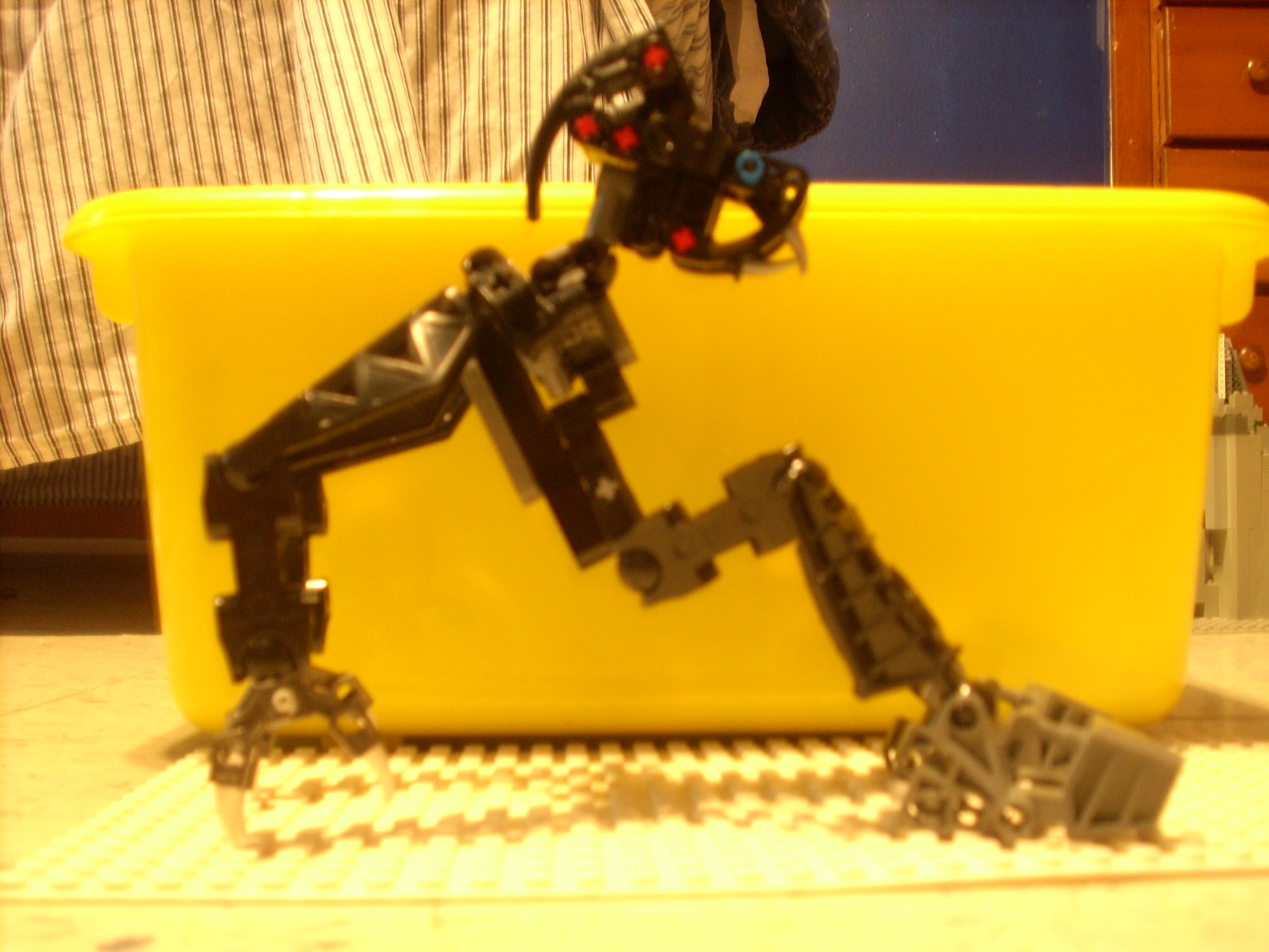 dsci0009.jpg