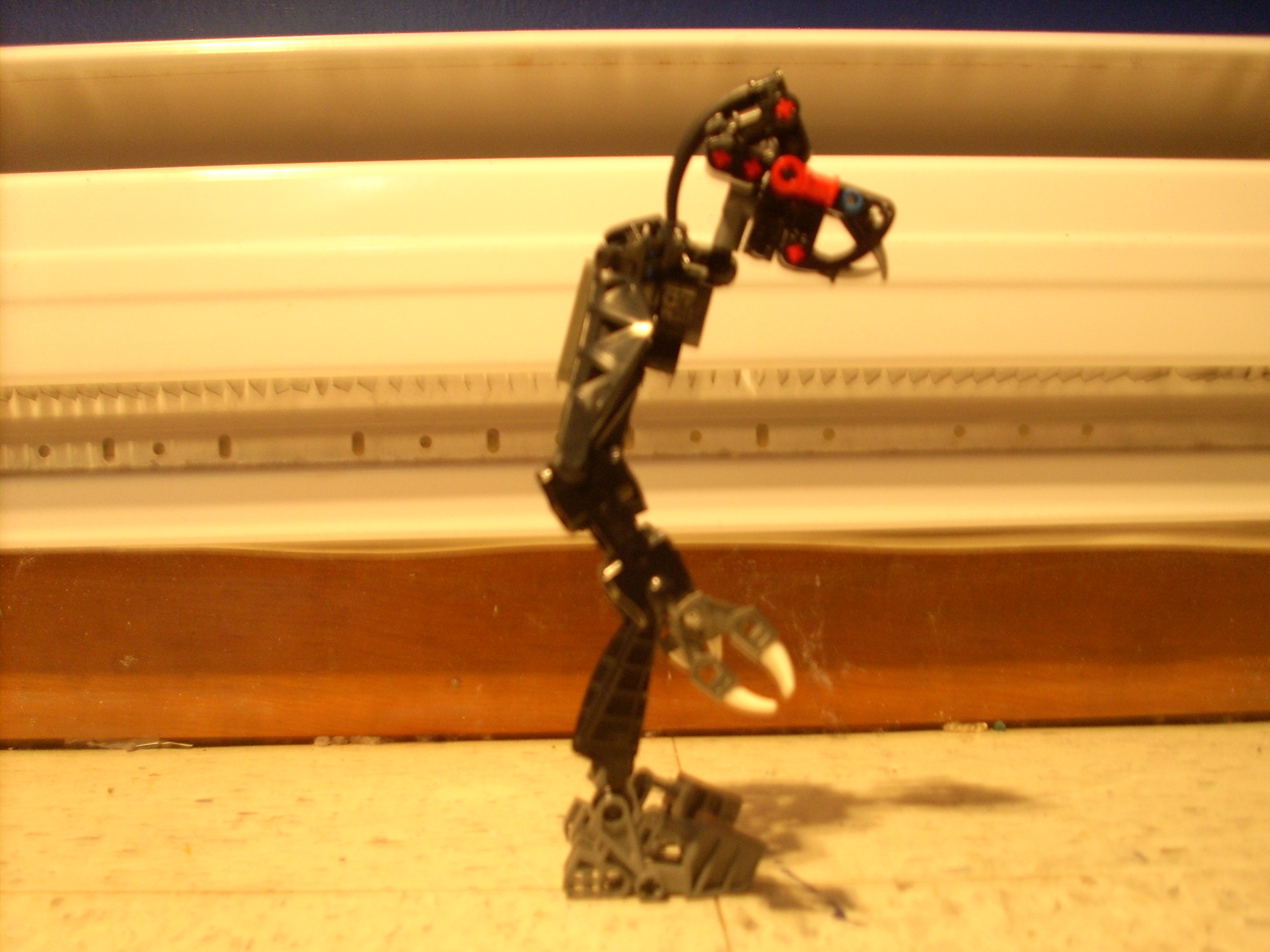 dsci0011.jpg