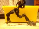 dsci0009.jpg