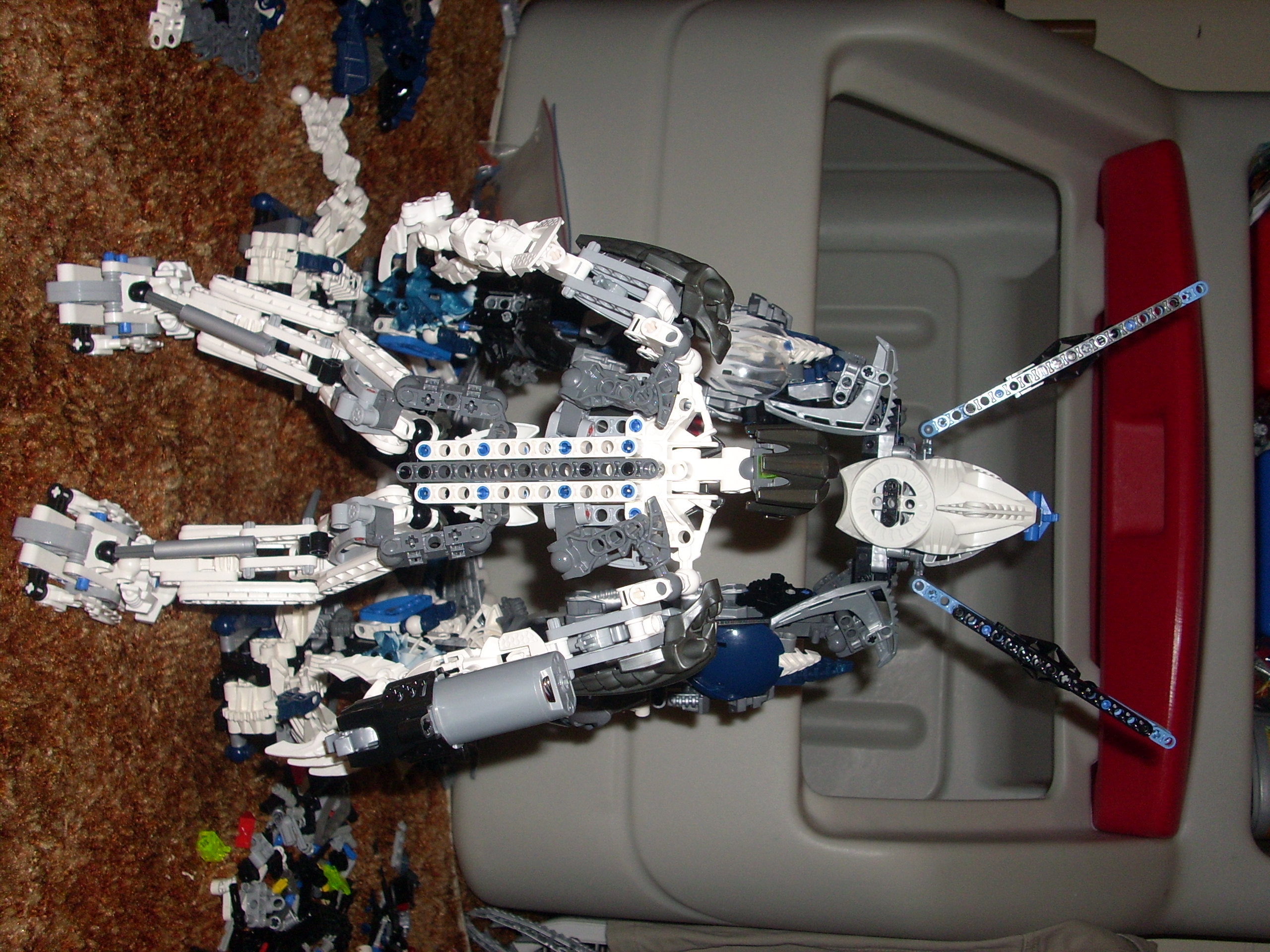 legs-lowertorso1.jpg