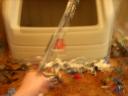 weapond.jpg