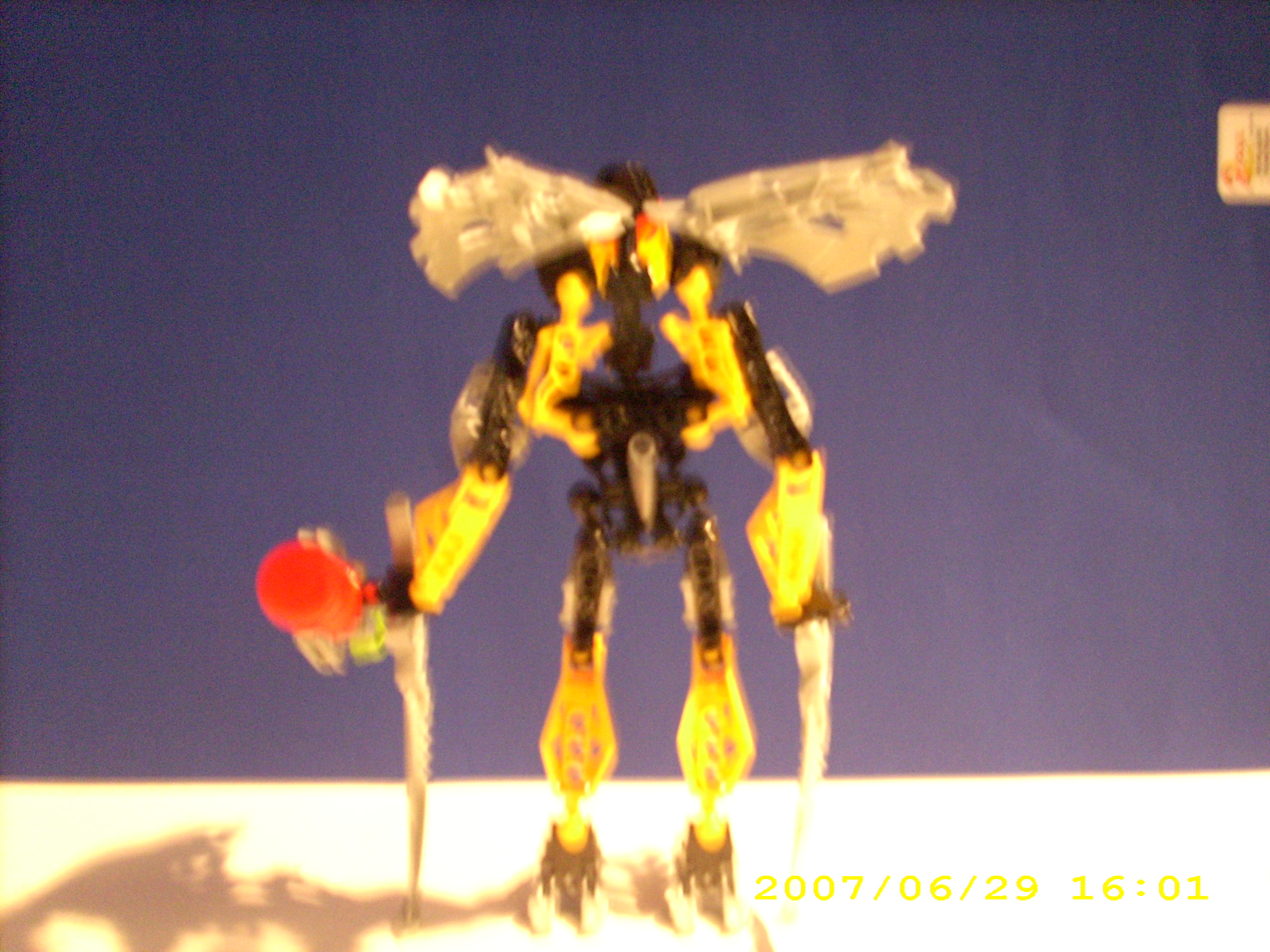 dsci0043.jpg