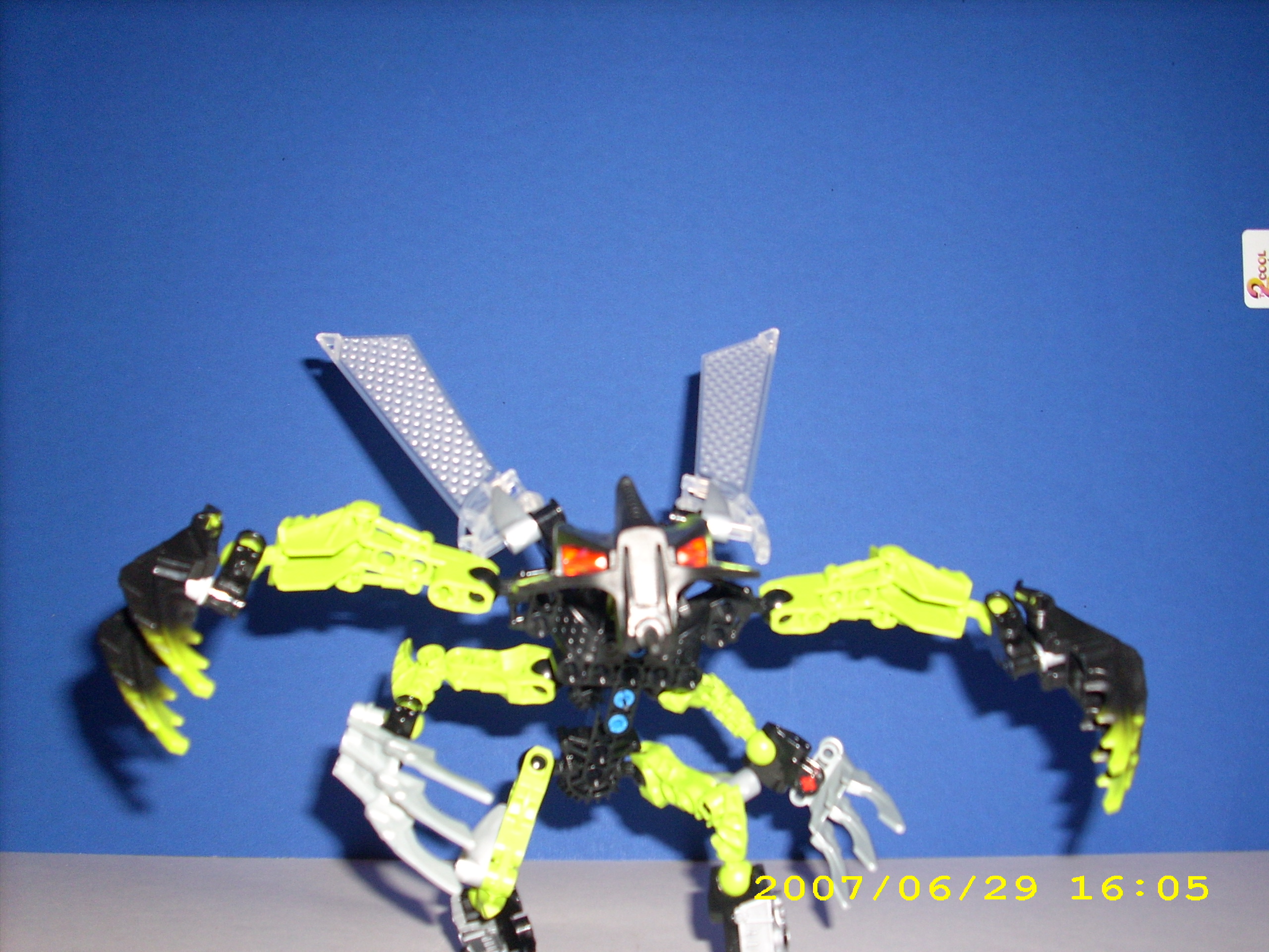 dsci0051.jpg