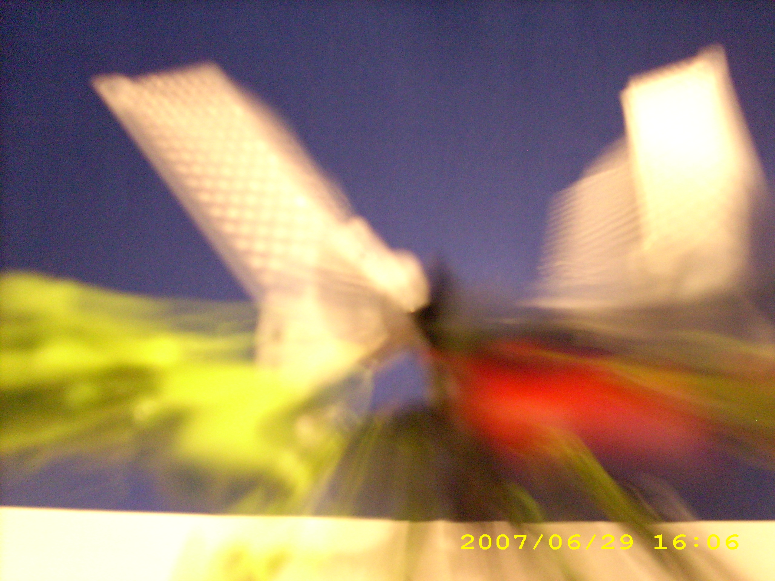 dsci0052.jpg
