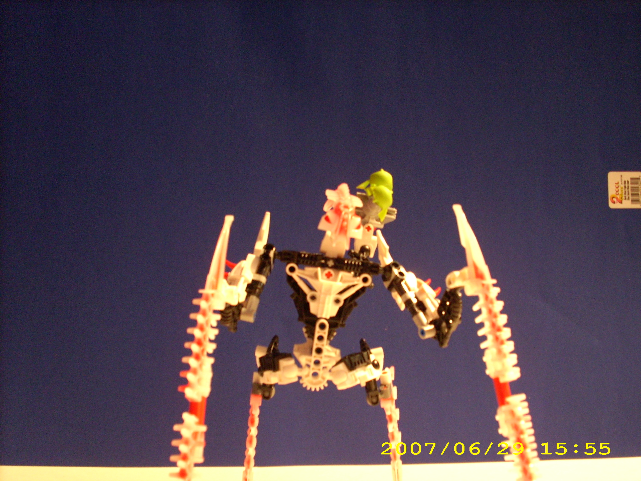 dsci0033.jpg