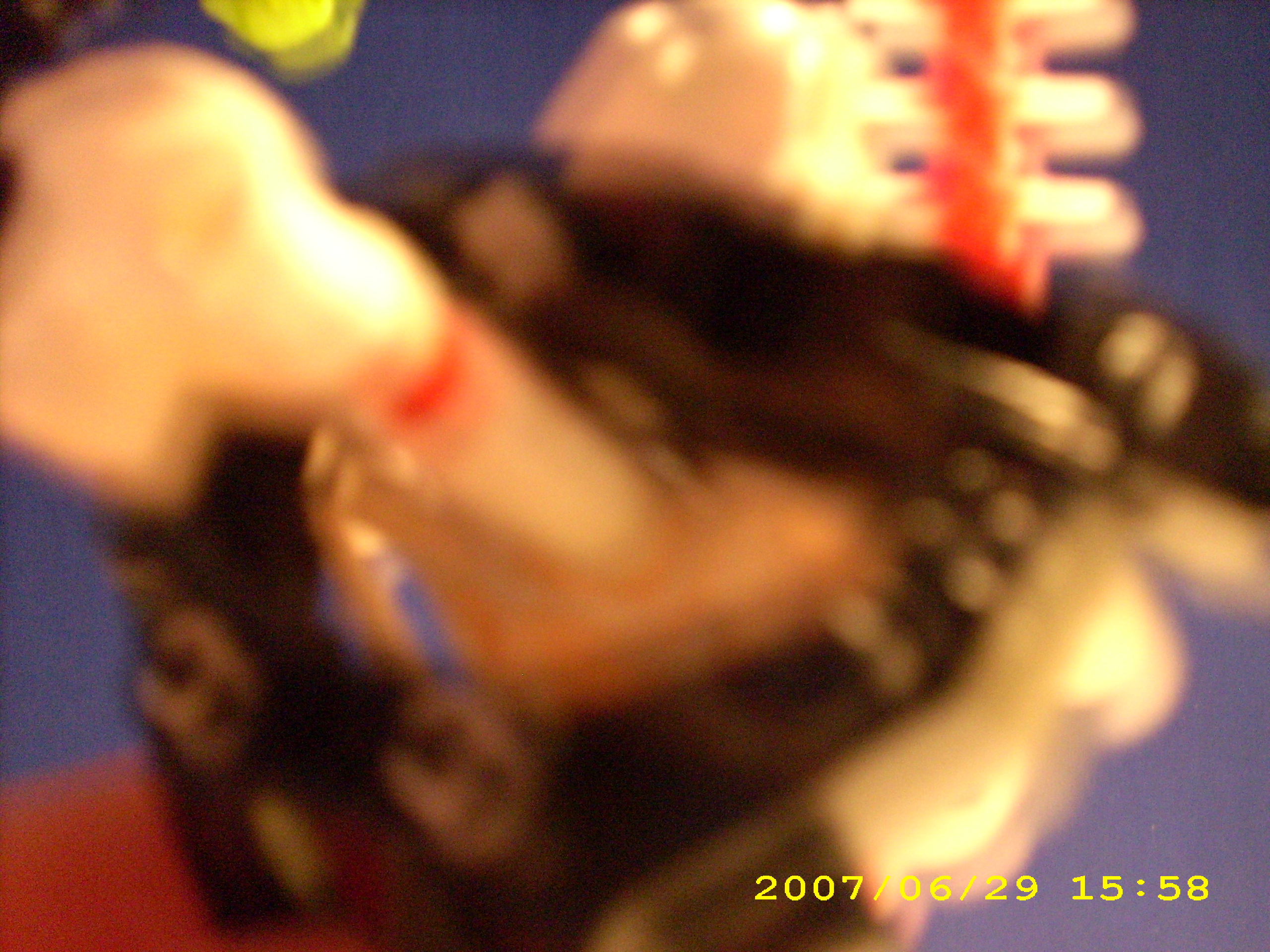 dsci0039.jpg