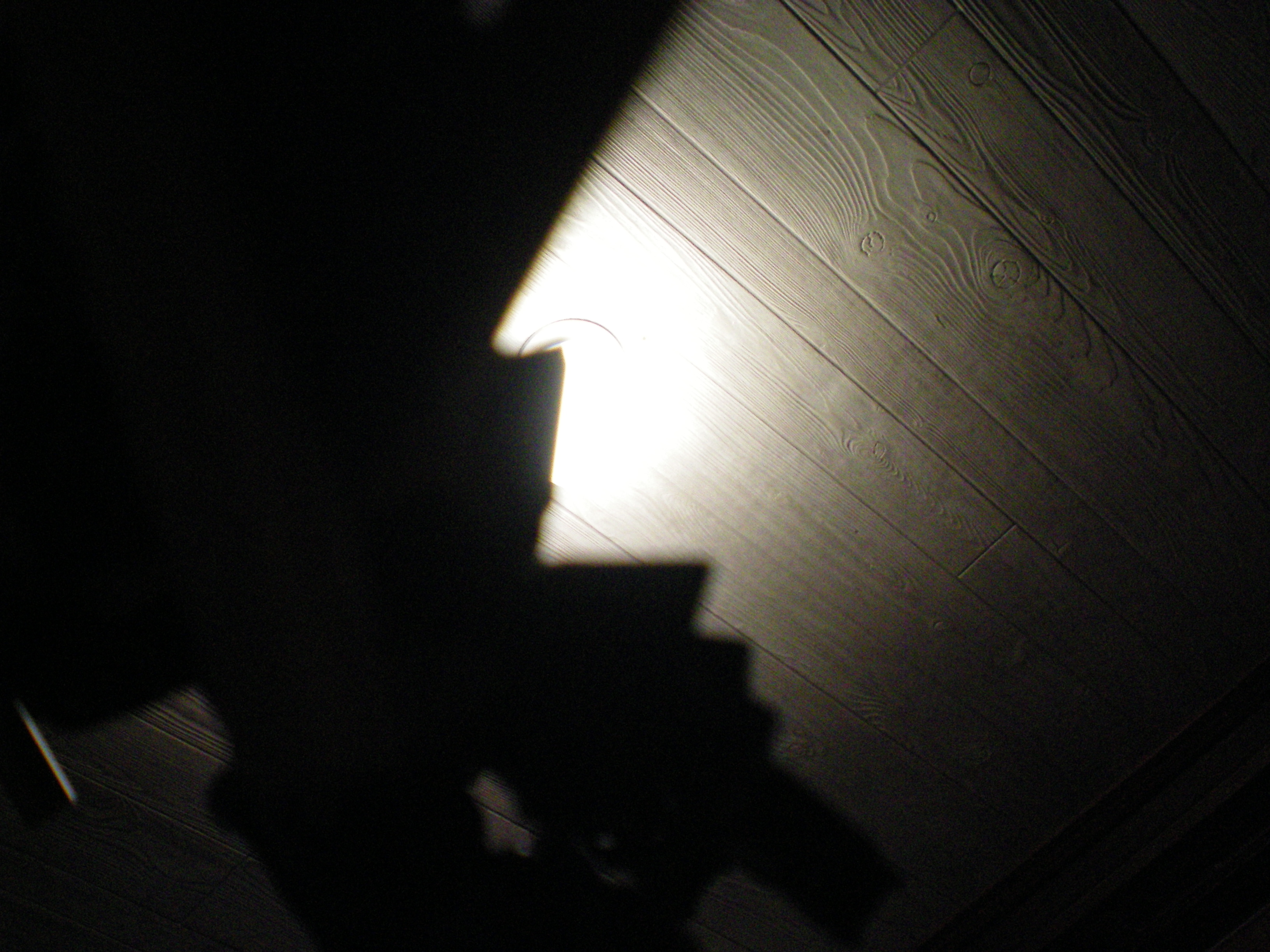 100_0001.jpg