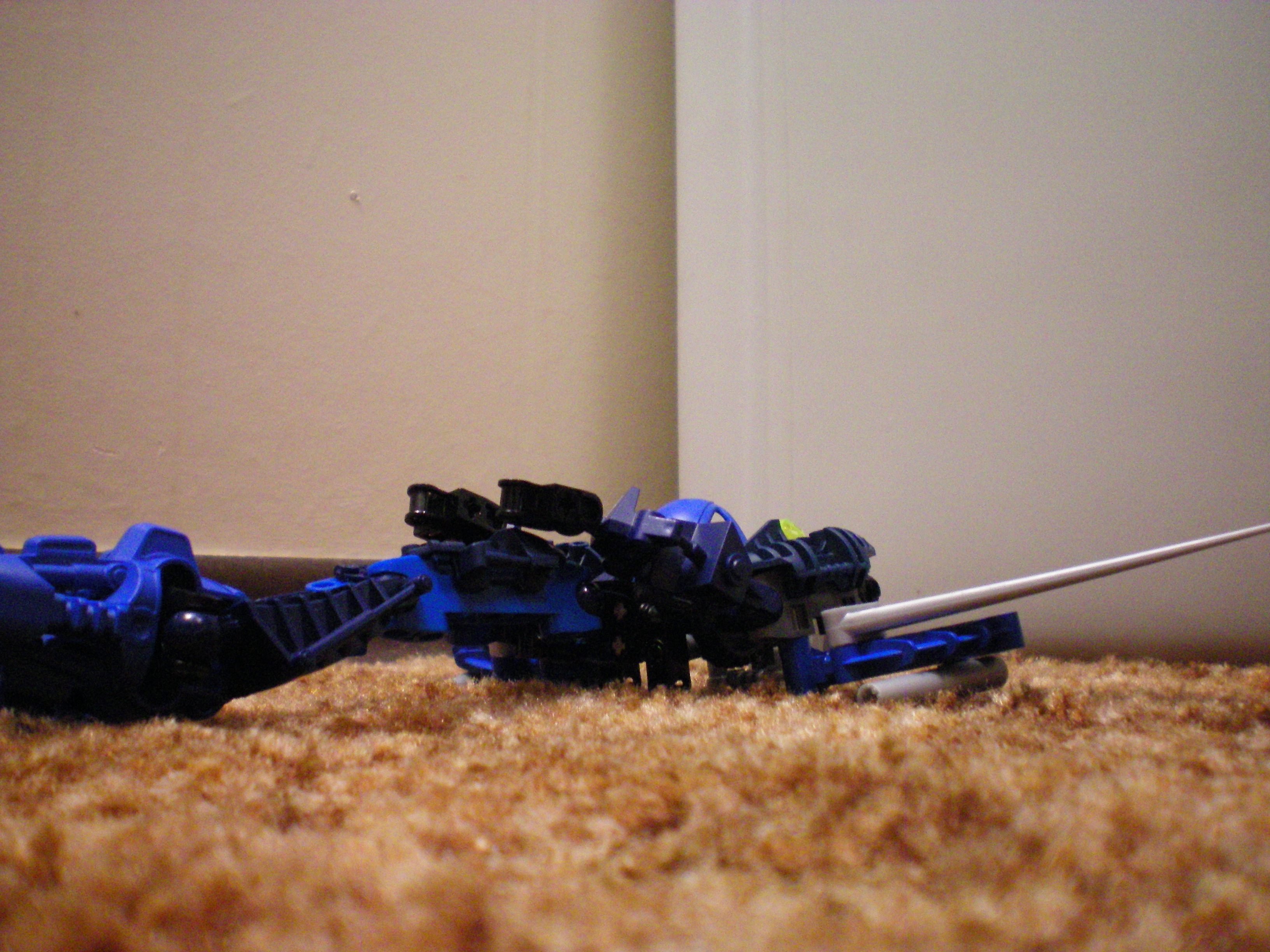 100_0004.jpg