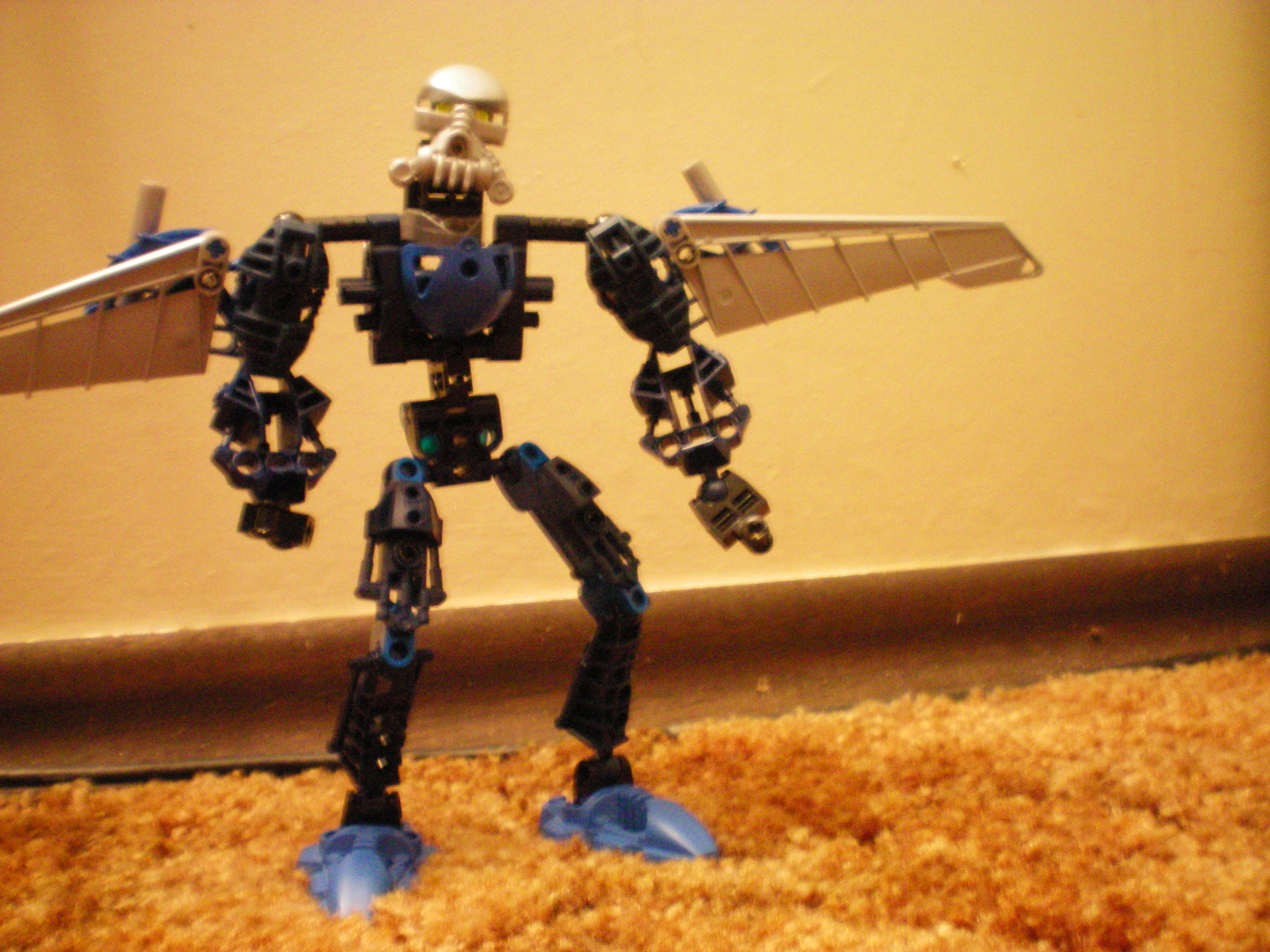 100_0005.jpg