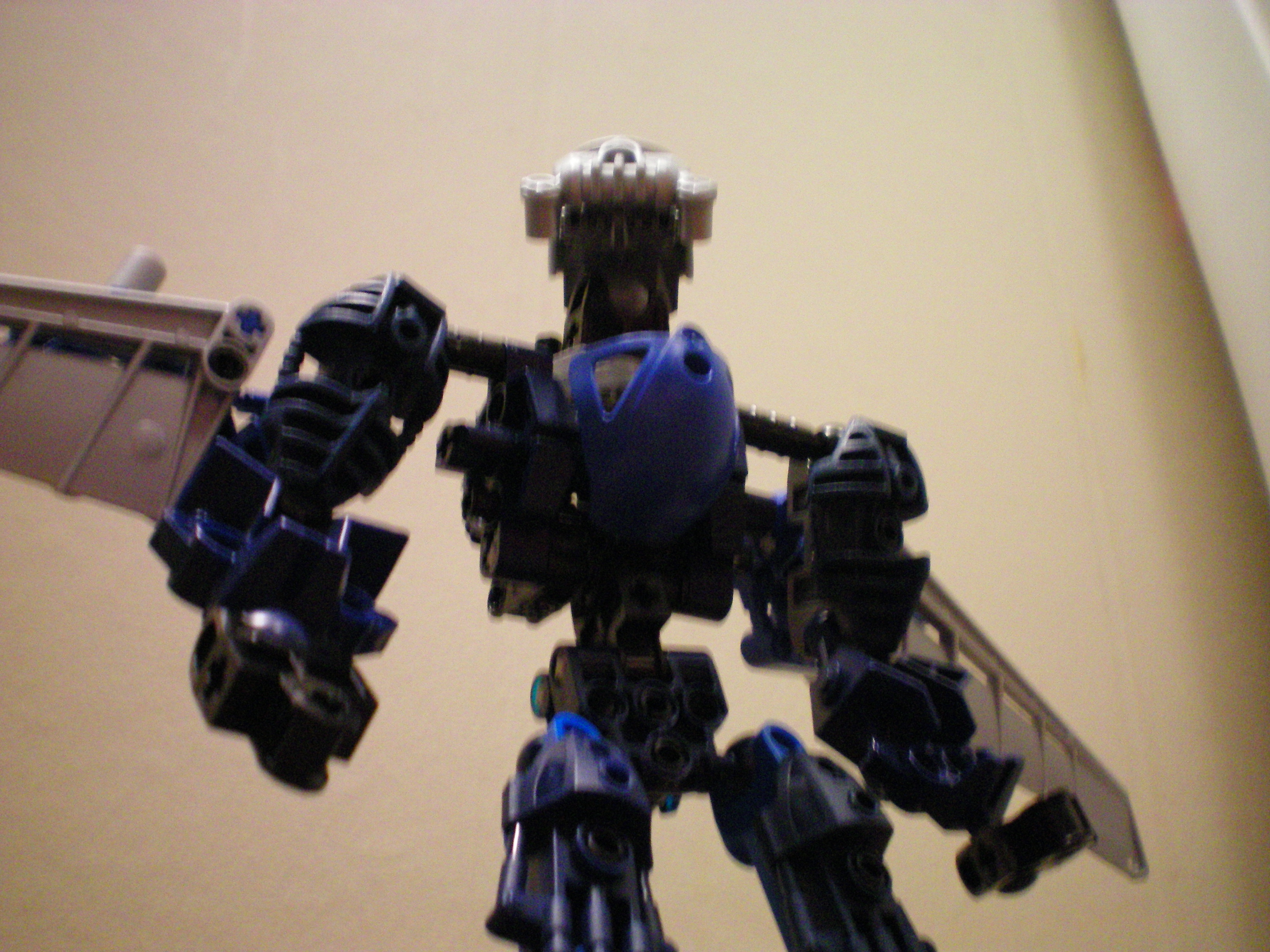 100_0007.jpg