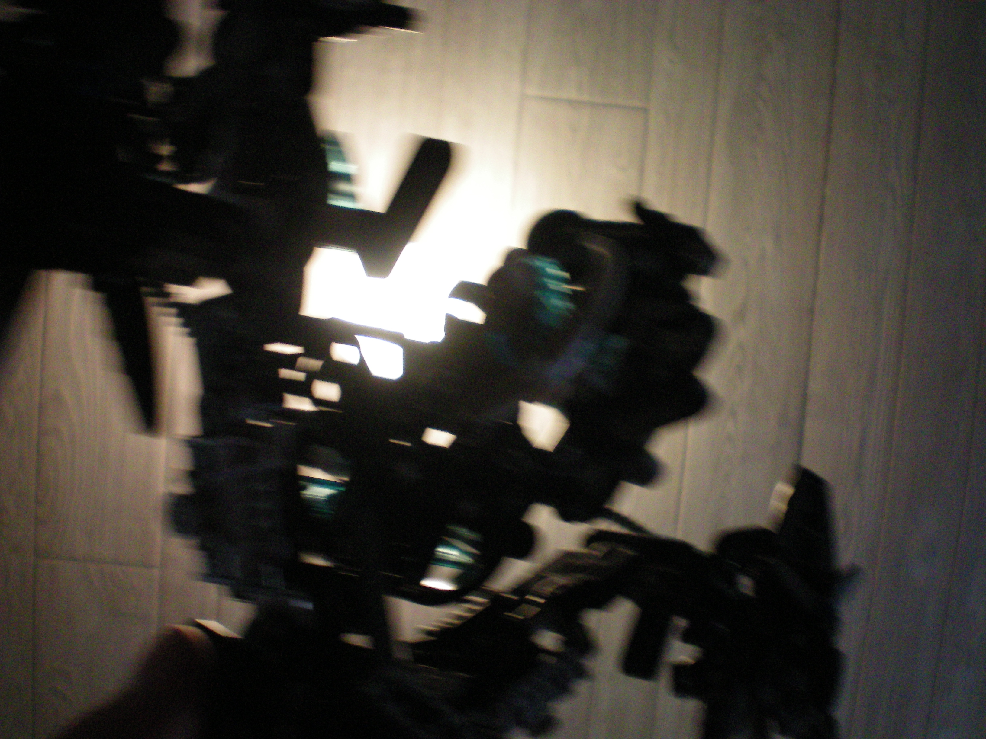 100_0009.jpg