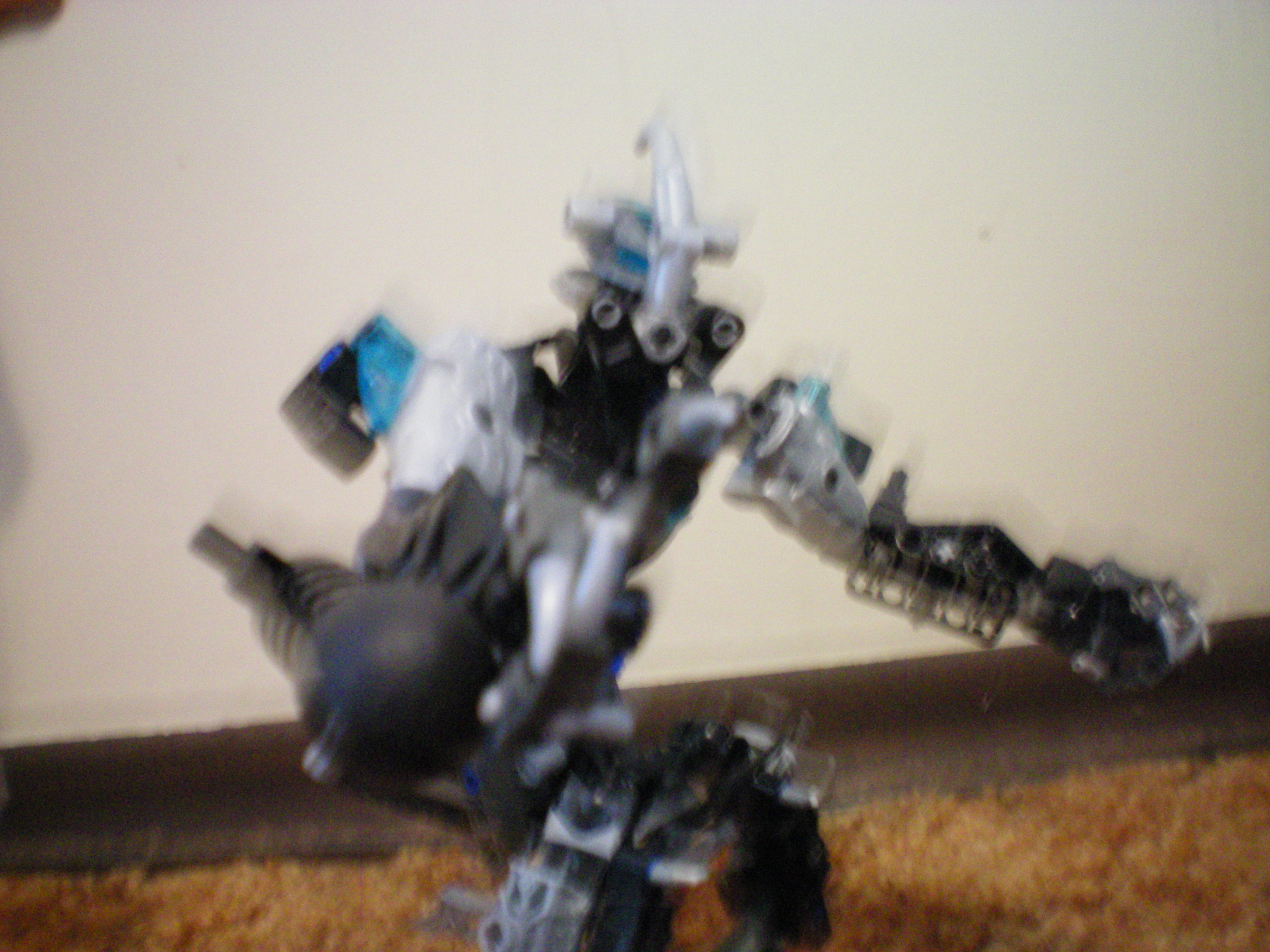100_0013.jpg