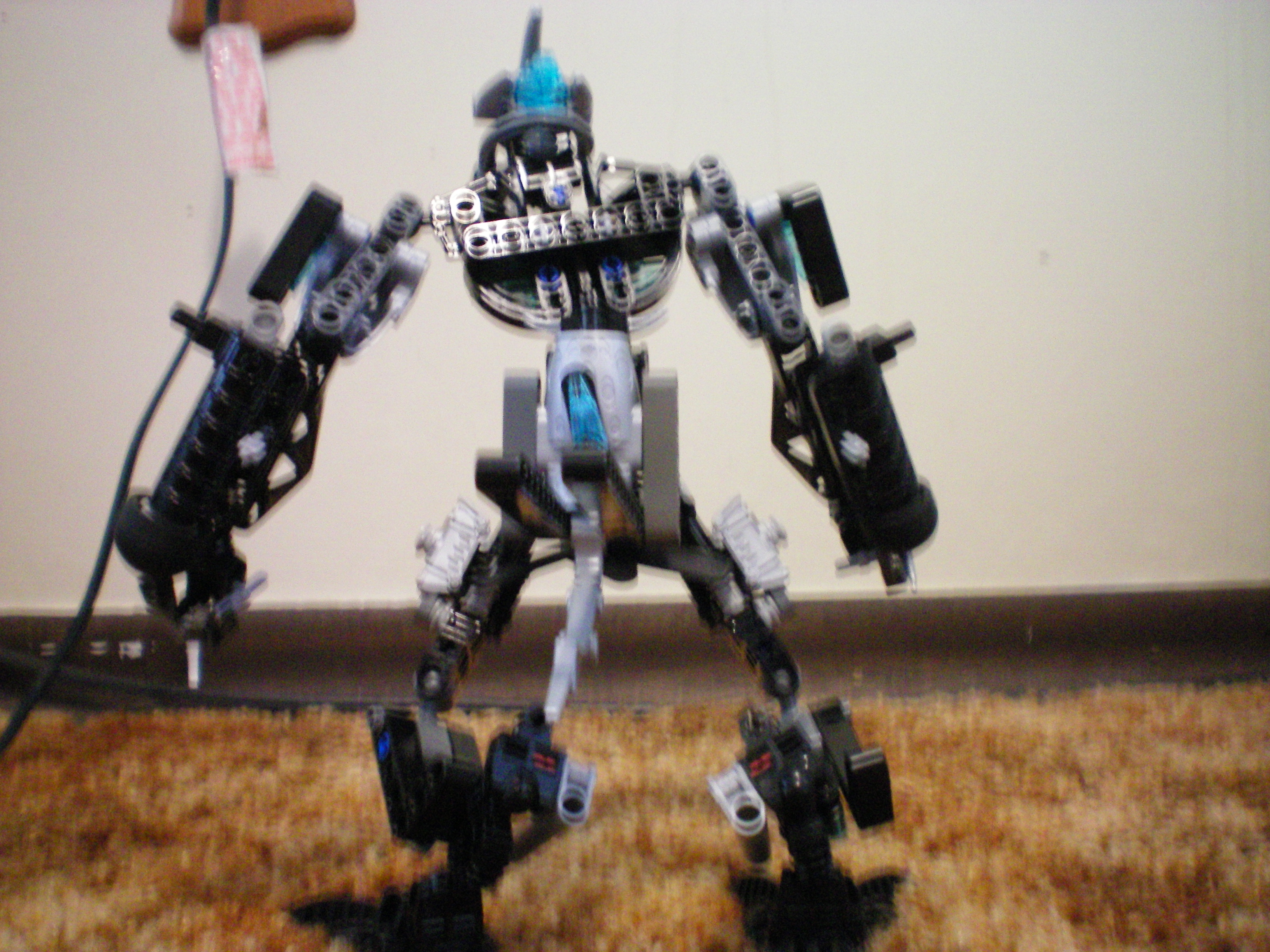 100_0015.jpg