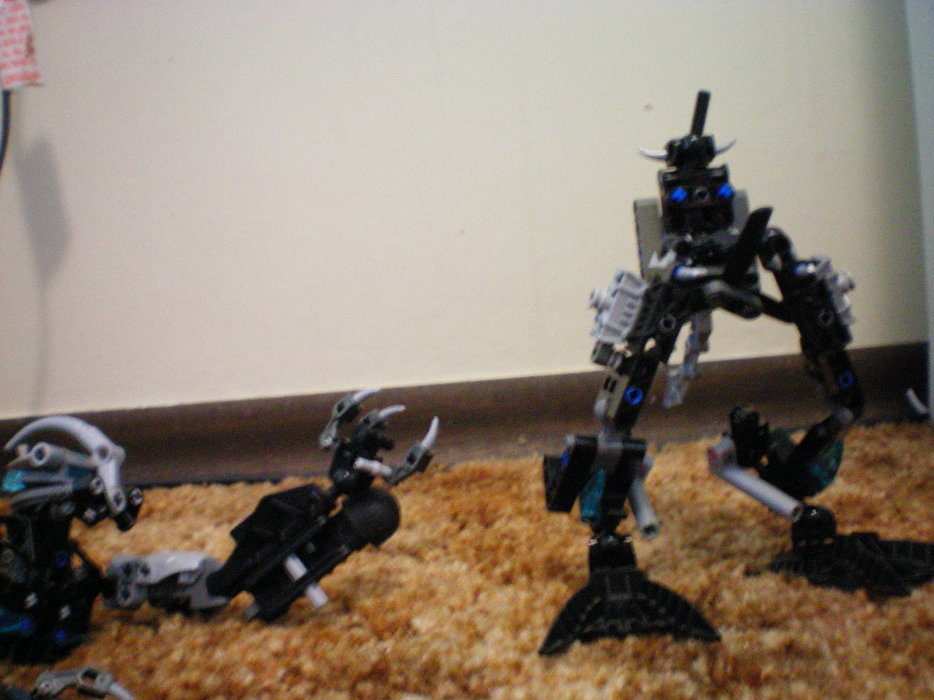 100_0016.jpg