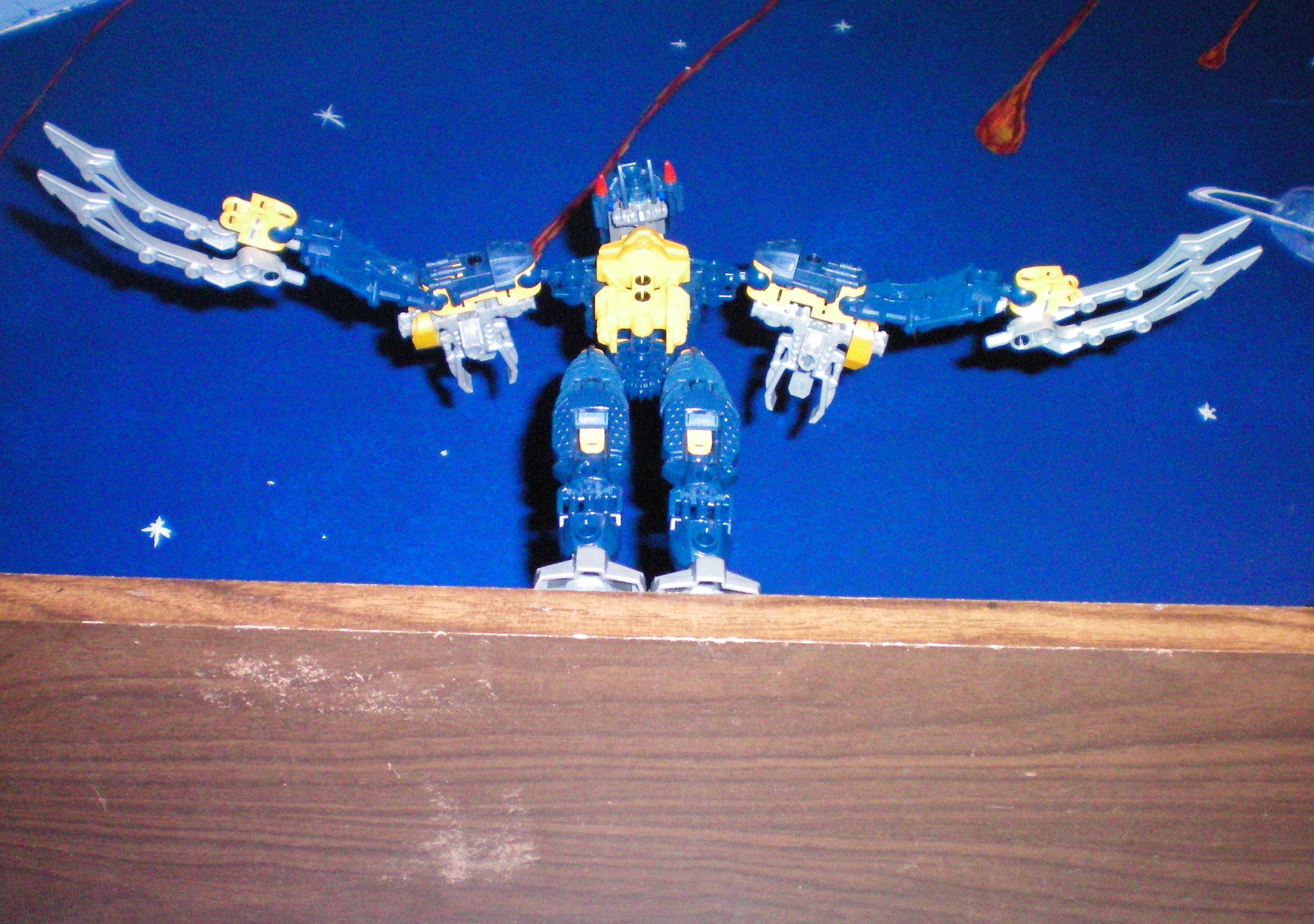 100_0005.jpg