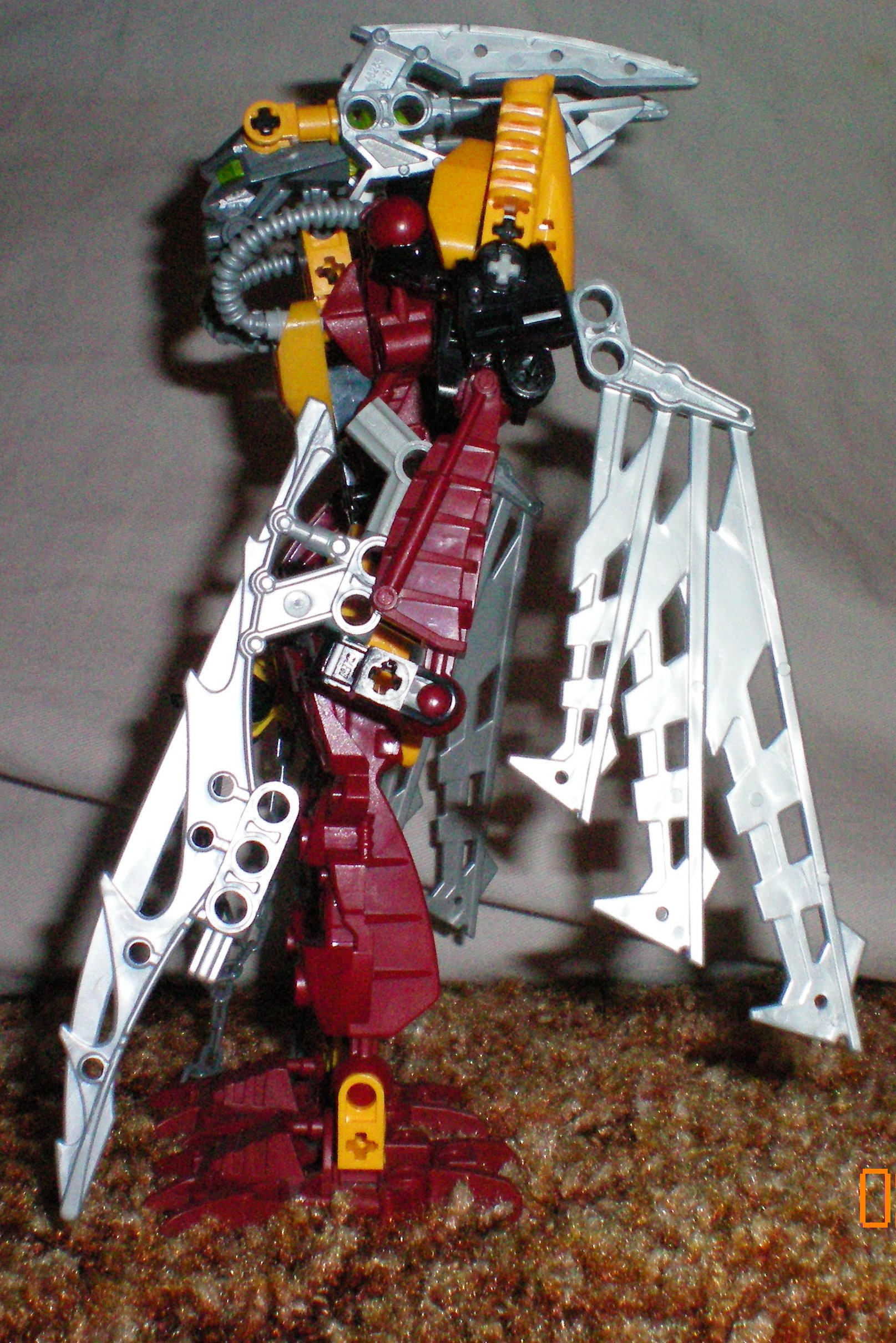 100_0017.jpg