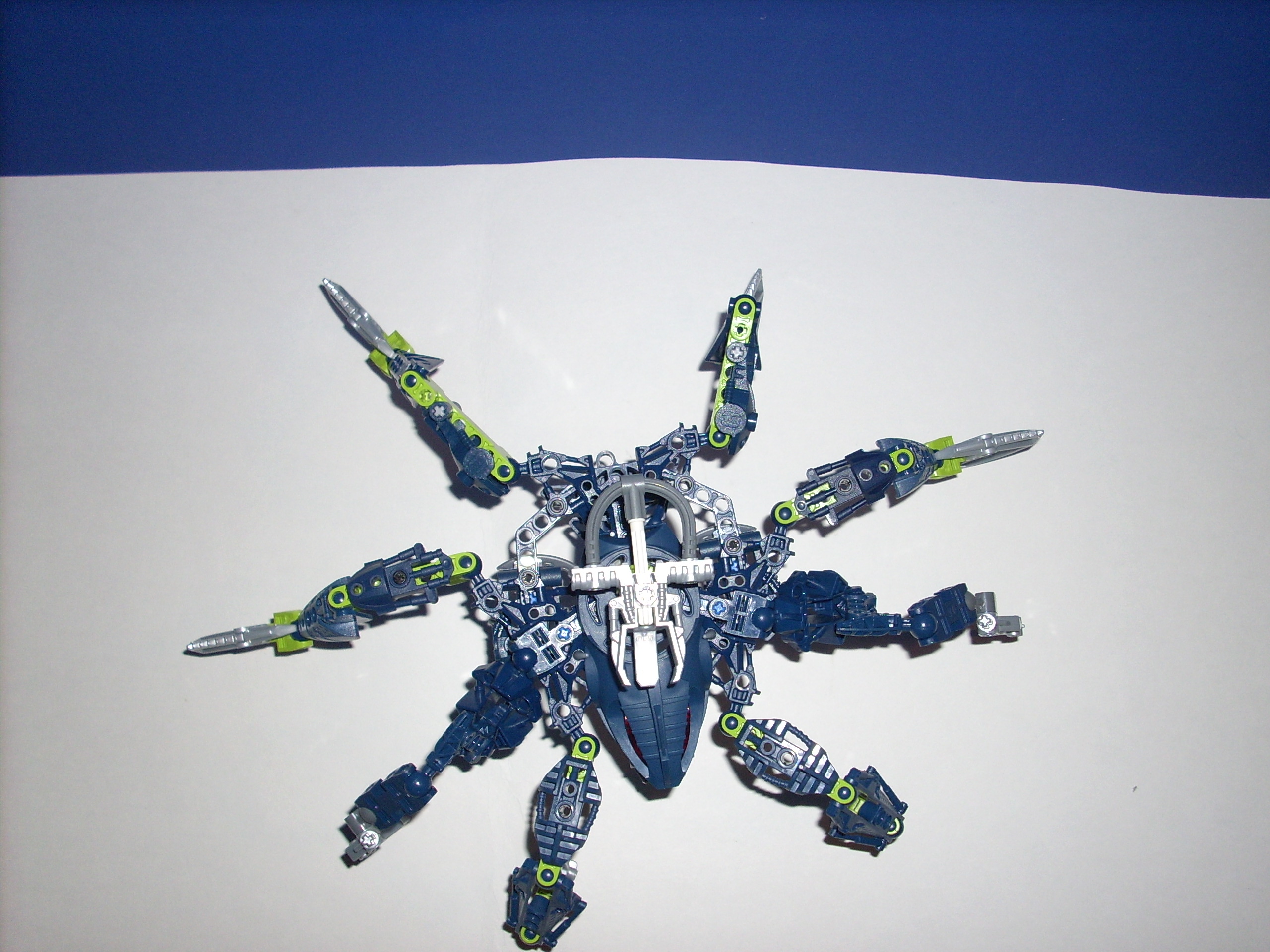 eagle-eye_view.jpg