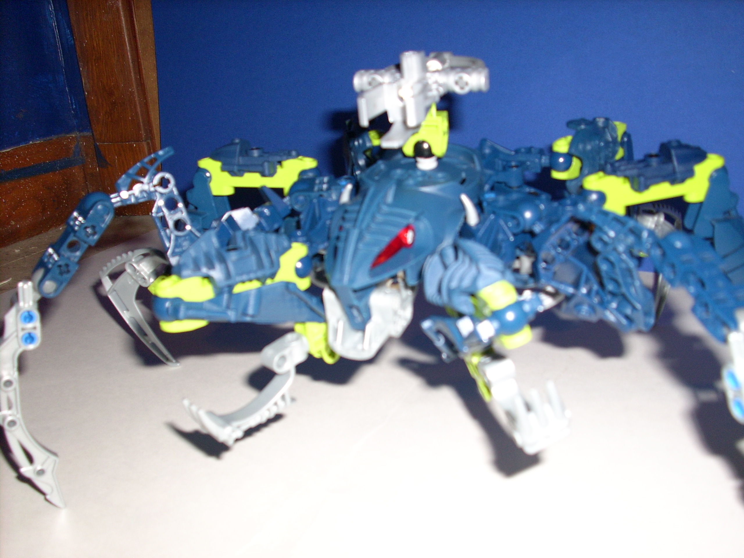 front_legs_up-closer.jpg
