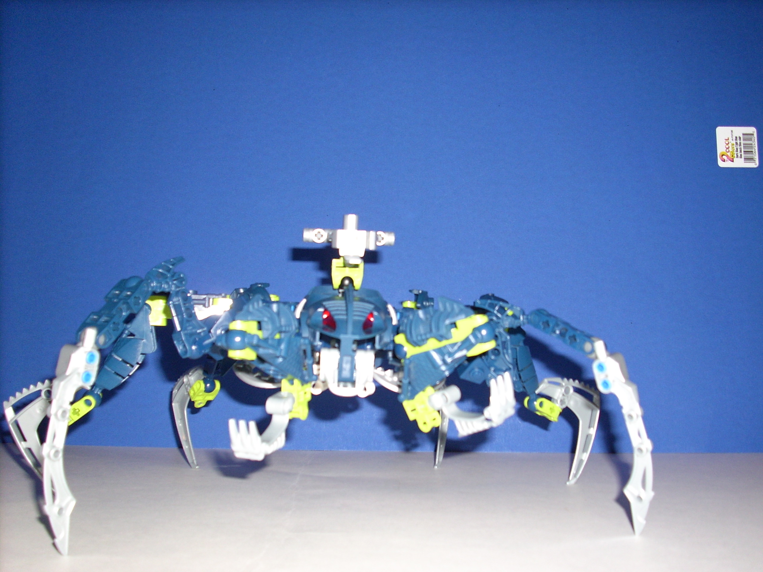 front_legs_up.jpg