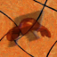 revark_avvie.png