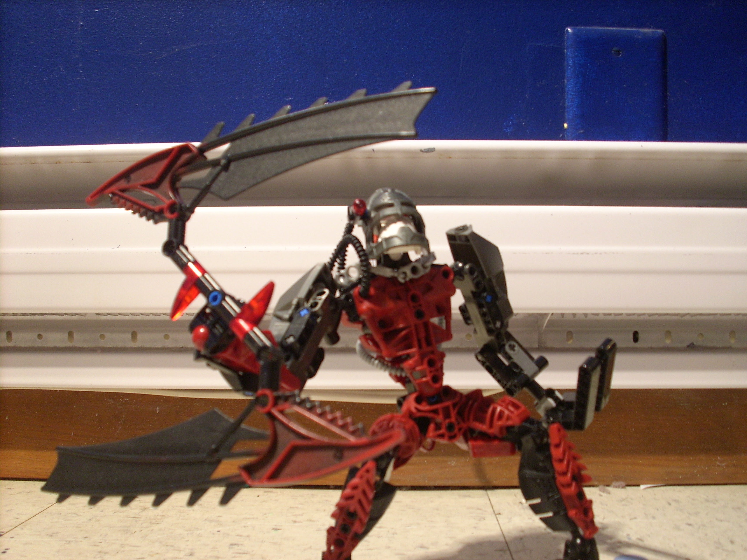 dsci0043.jpg