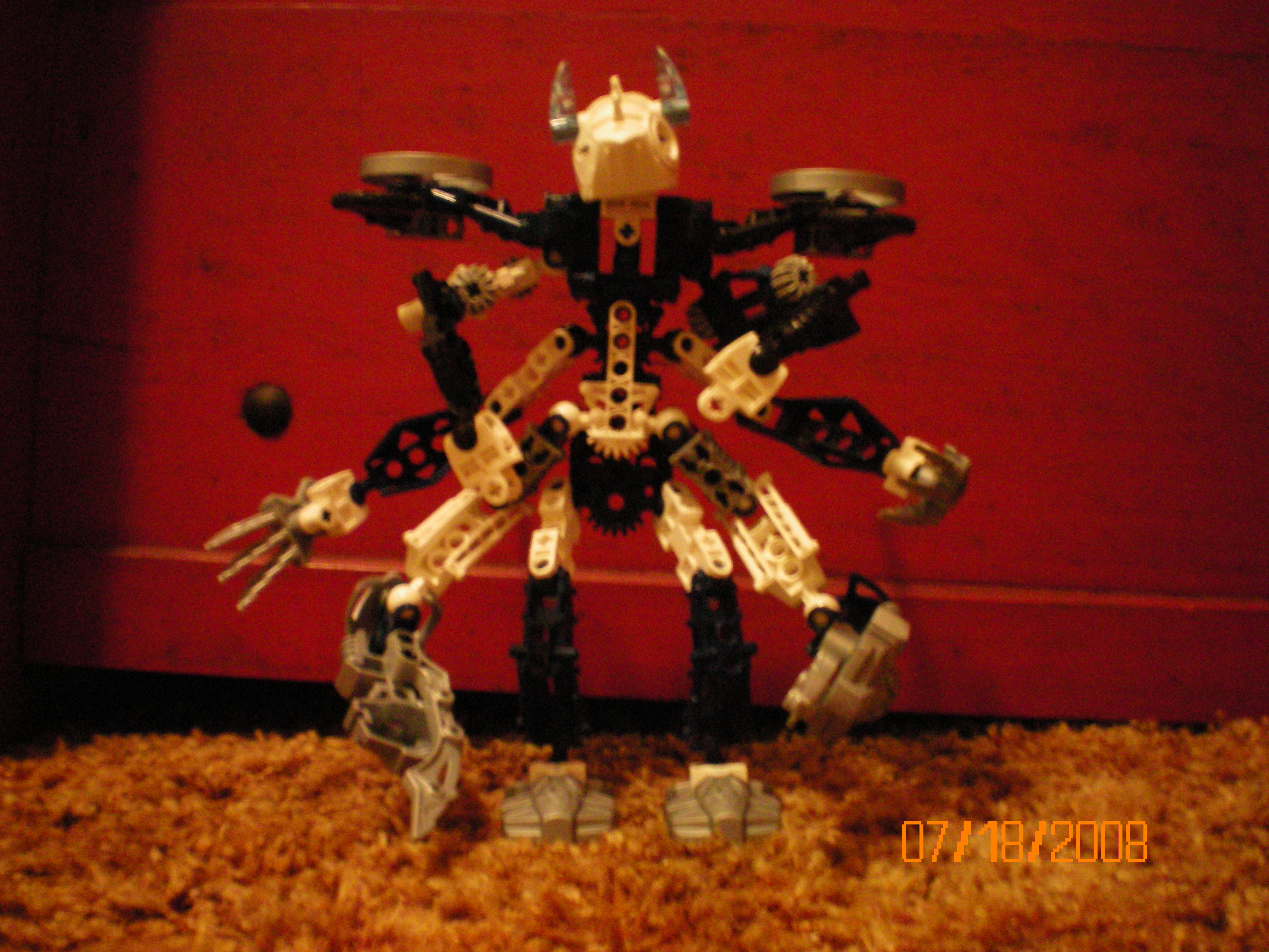 frostelus_front.jpg