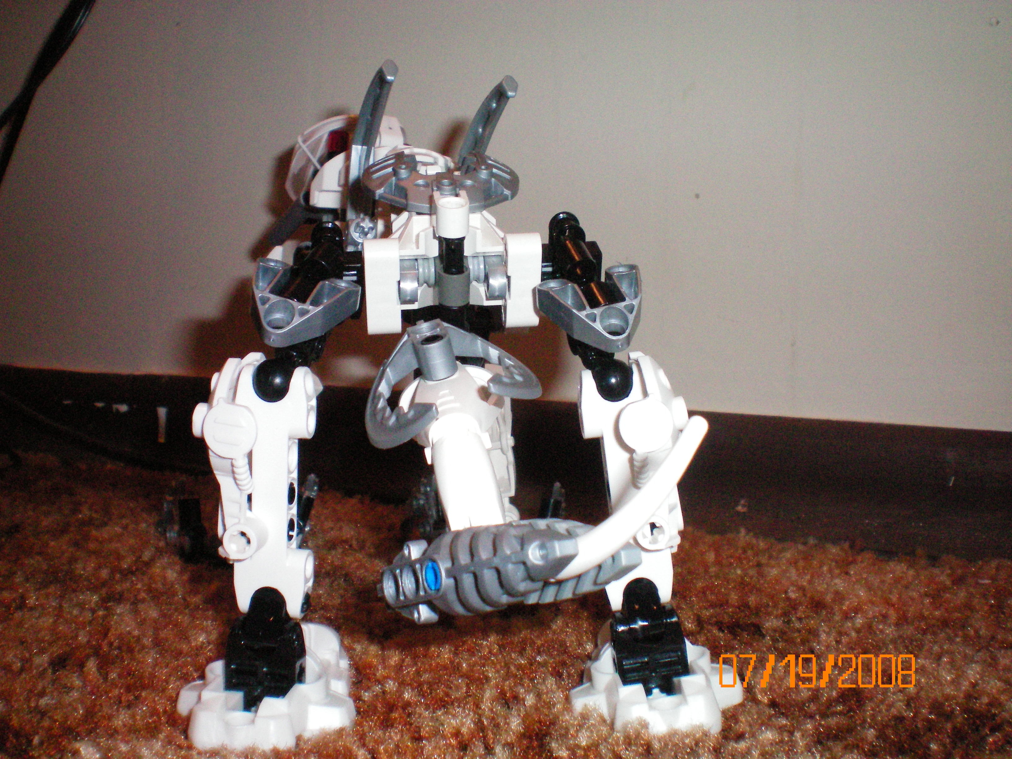 gcarver_back-tail.jpg