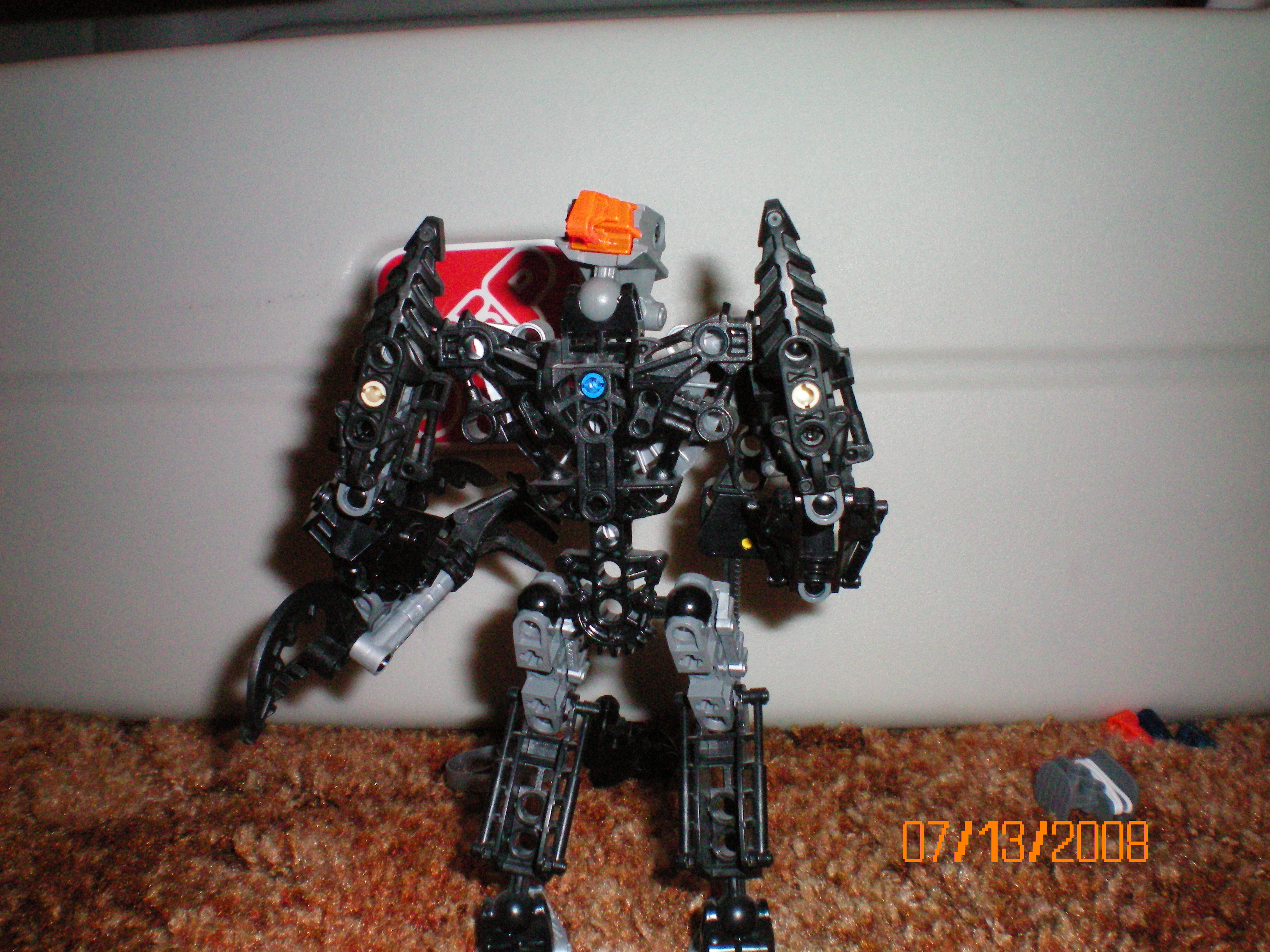 ector_back.jpg