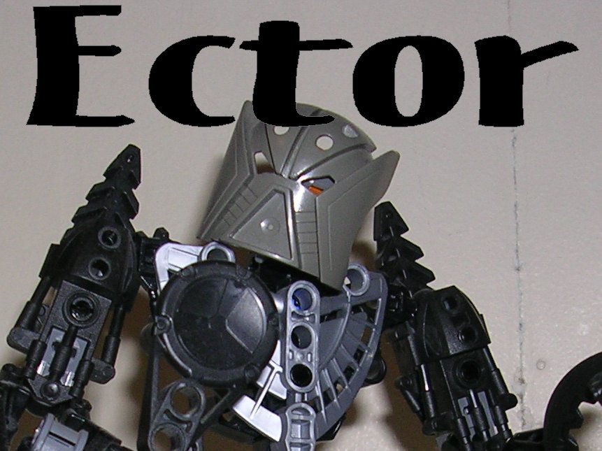 aaa_ector.jpg