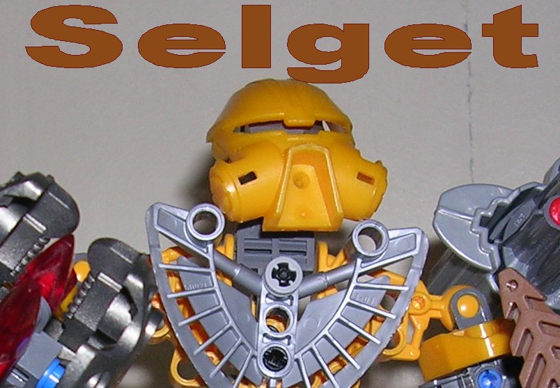 aaa_selget.jpg