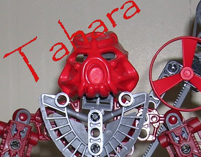 aaa_tahara.jpg