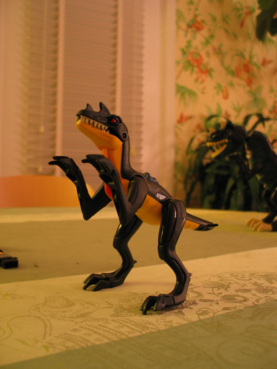 100_0072_r1.jpg