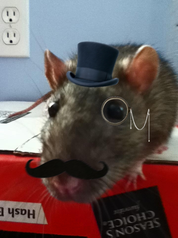 manda_rat_sir.jpg