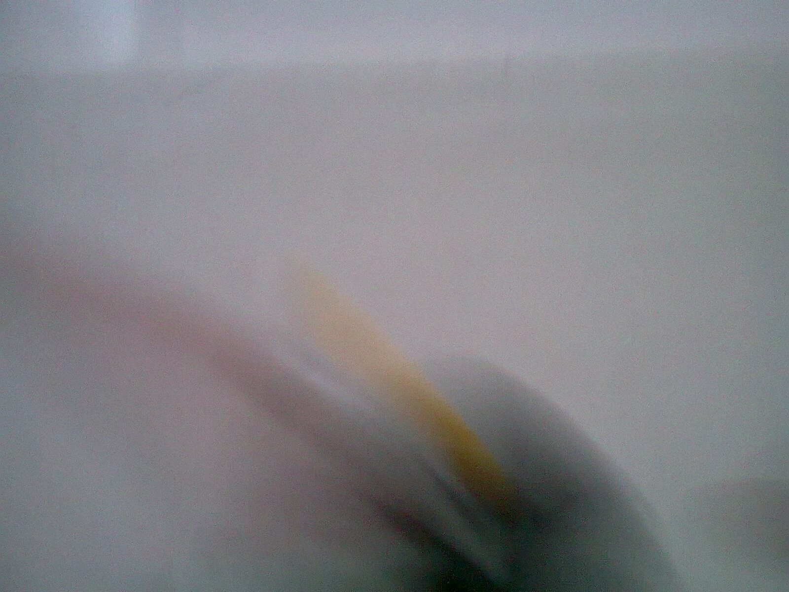 foto0608.jpg