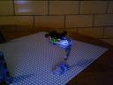 photo_78.jpg