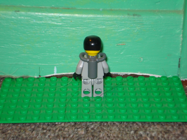 lego__july_2008_119.jpg