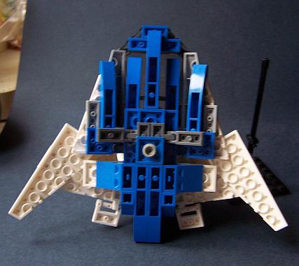 white_swallow_10.jpg