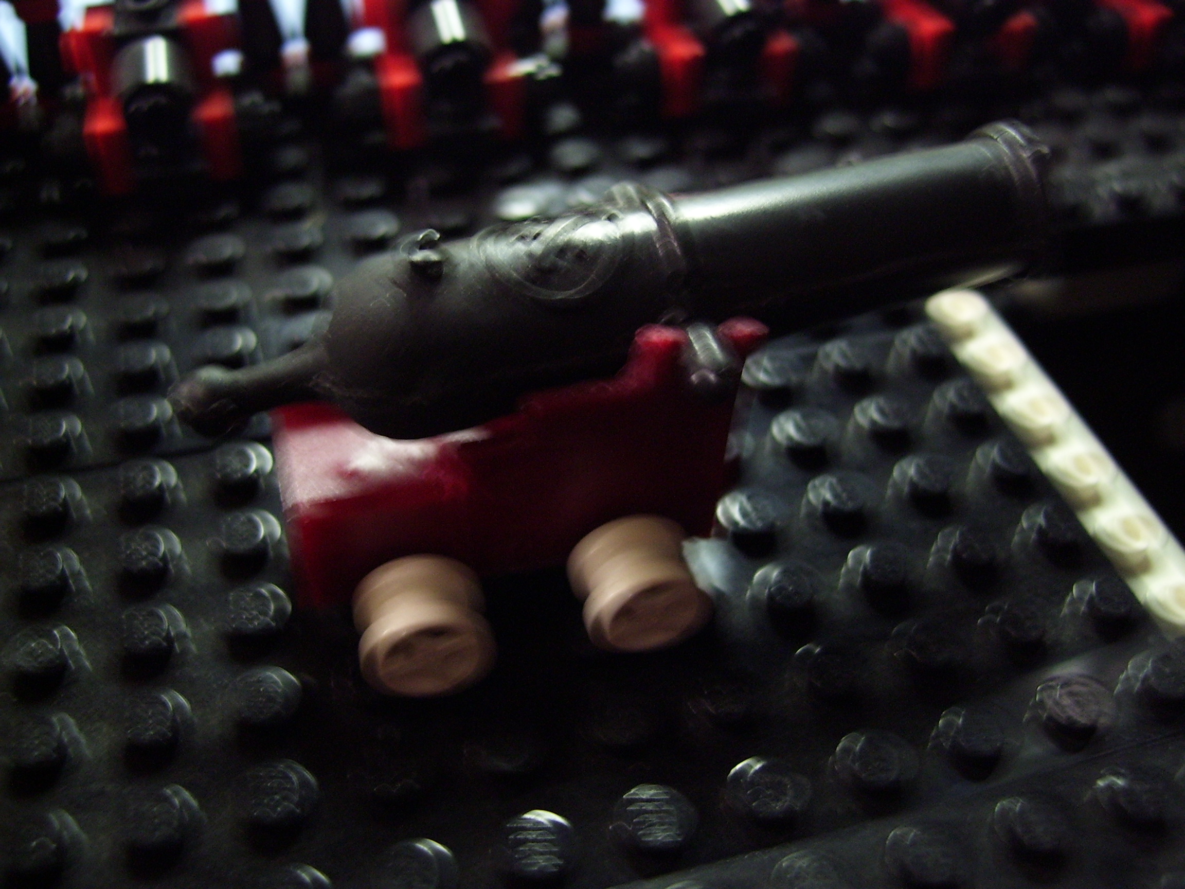 100_4810.jpg