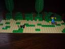 dsc00420.jpg
