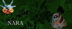 nara_banner.png
