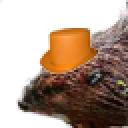 tophatbeaver.png