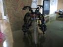 bones_c._005.jpg