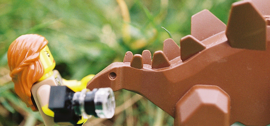 legostego01.jpg