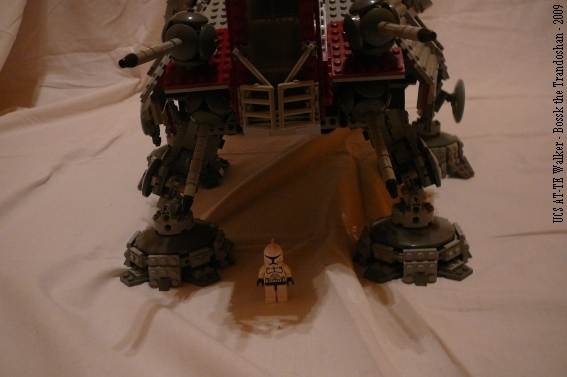 47.jpg