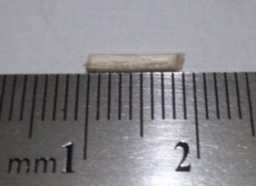 r100_2841.jpg