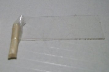 r100_2847.png