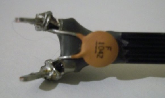 r100_2959.jpg