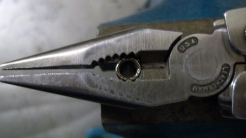 r100_3304.jpg